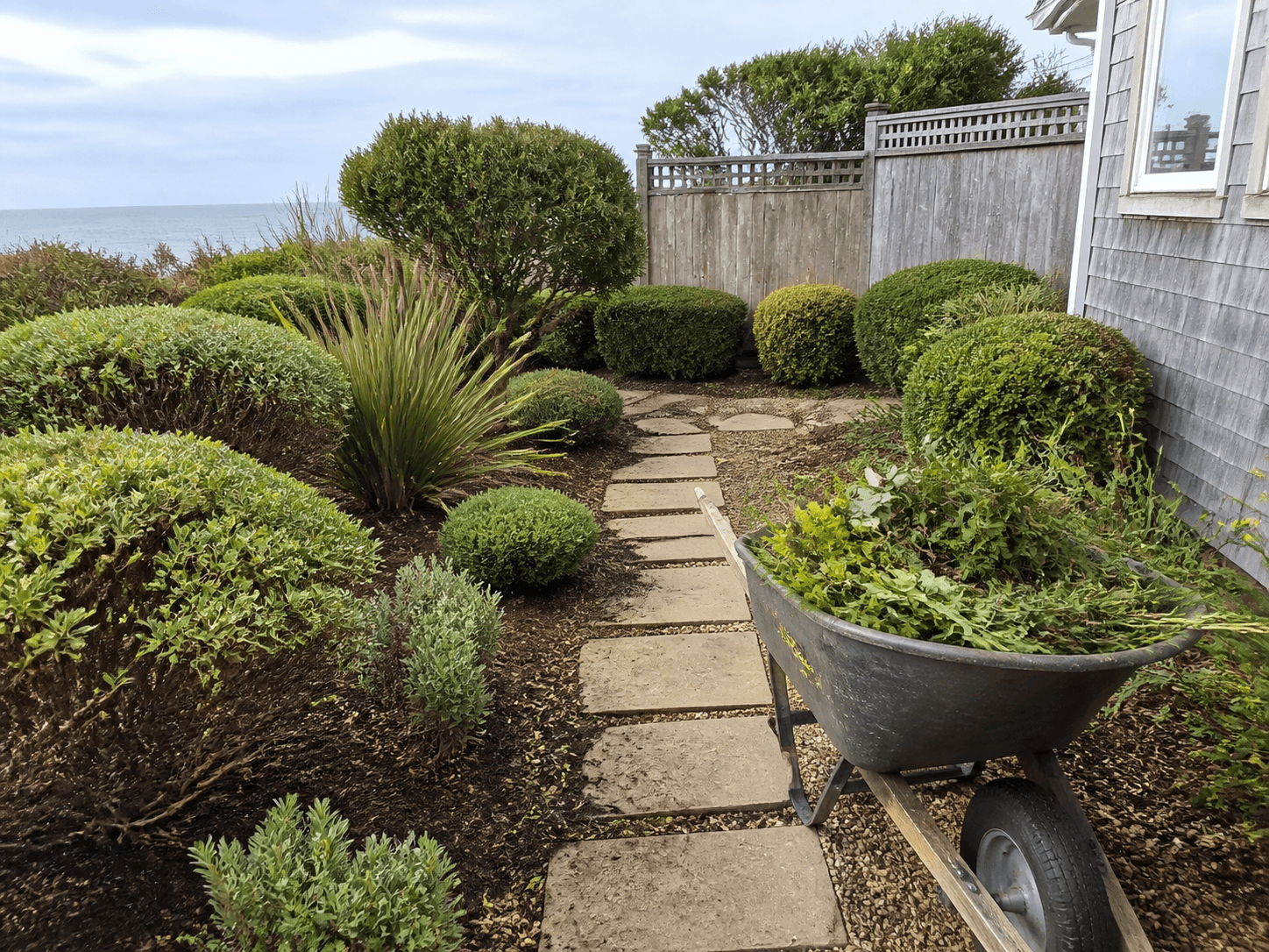 Example of a residential yard cleanup and pruning visit